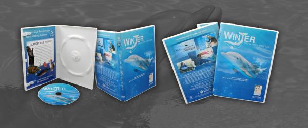 Discs In White DVD Case With Insert Discs In White DVD Case With Insert