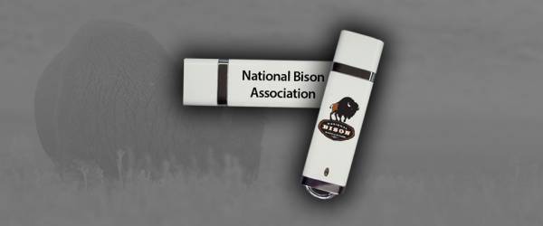 Top Hat USBs Top Hat USBs